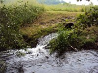 Einleitung der Kläranlage 1466